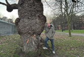Holy Swedish Burls Batman