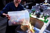 Inside Mill’s AI-powered plan to help restaurants and grocery stores stop wasting food