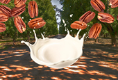 Why pecan milk is suddenly crushing it