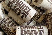 Barrel Riot: Crafting a Wine Branding and Visual Identity