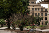 How University Core Curriculums Are Getting Political