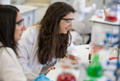 Why Career Pathways Can be Clarifying