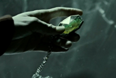 Who Is R.A.B In Harry Potter? Regulus Black, Explained