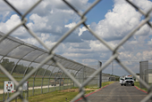 10 Charged With Attempted Murder in Officer Shooting at ICE Detention ...