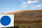 What to Watch in Tuesday’s Primaries in Nebraska and West Virginia