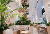 Pura Vida Miami snags execs from Sweetgreen, Shake Shack and Oakberry