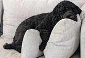 Is It Time to Measure Burnout?