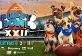 EXCLUSIVE: Animal Planet’s Puppy Bowl Has More Dog-Gone Partners Than Ever