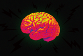 Want a Better Brain? Neuroscience Says Start Walking