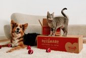 PetSmart looking to hire on feline, canine toy testers