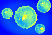 AI made 16 brand-new viruses