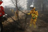 Belgian wildfire doubles in size on third day tearing through nature reserve