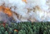 Wildfire raging south of Paris could have been set deliberately, says minister