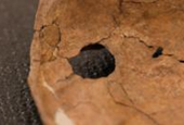 Was Neanderthal life violent? This wound suggests lethal fighting was more common