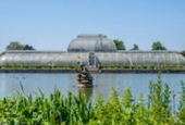 Kew Gardens' Palm House will close for five years for major makeover