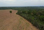 Brazil's Amazon rainforest at risk as key protection under threat