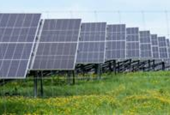 More solar farms on the way after record renewables auction