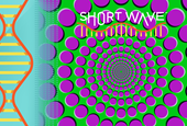 Optical illusions are a brain feature, not a bug. Here's the science behind them