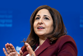 Why Does Neera Tanden Do It?