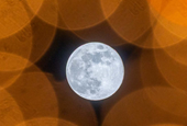 The best new popular science books of April 2026