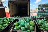 DEA seizes over 2,000 pounds of meth in cabbage freight shipment in South Texas