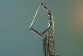 Industrial Design Firm's Refillable Metal Floss Tool Lands $425K on Kickstarter